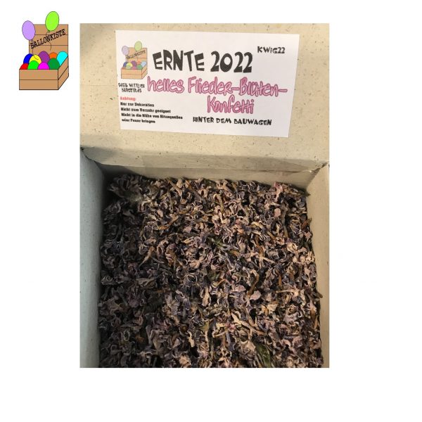 Blüten Flieder flieder