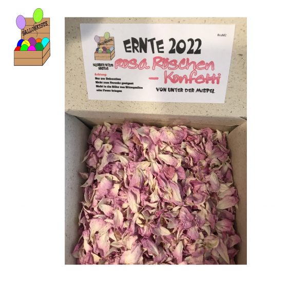 Blüten Heckenröschen