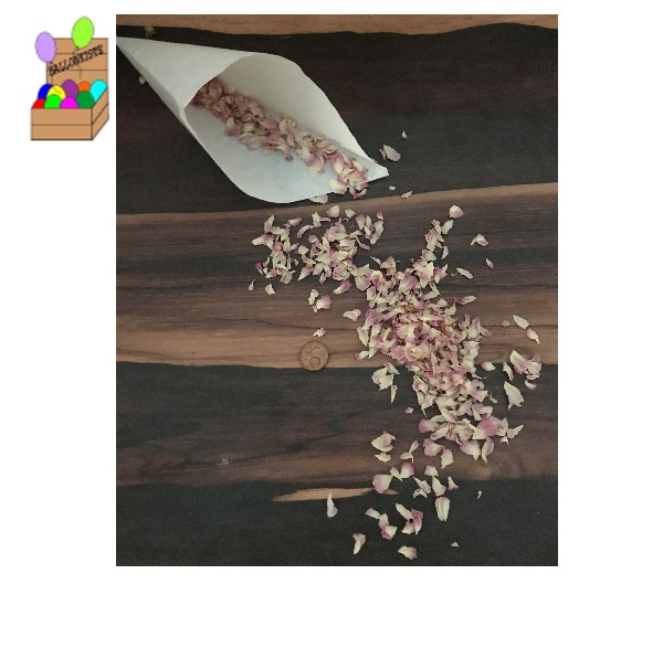 Rosenblüten rosa/weiß