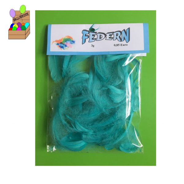 Federn türkis