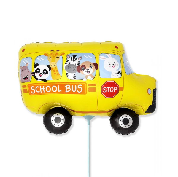 Mini School Bus