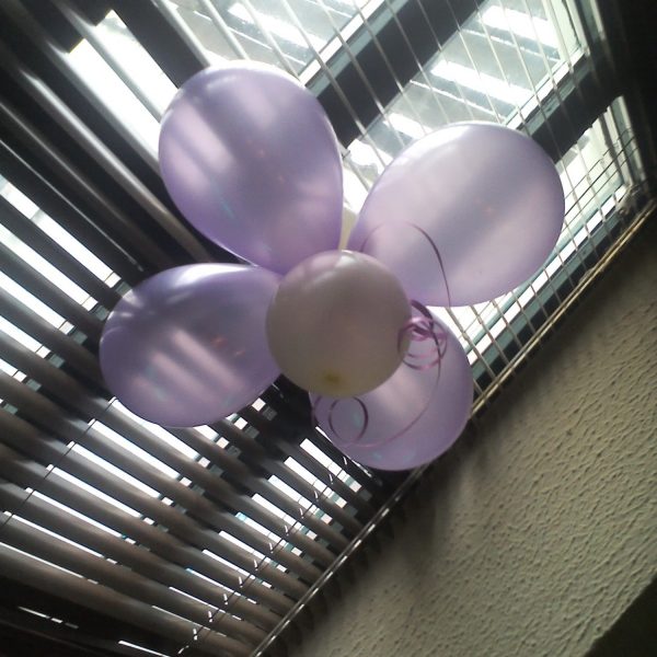 Ballonblume