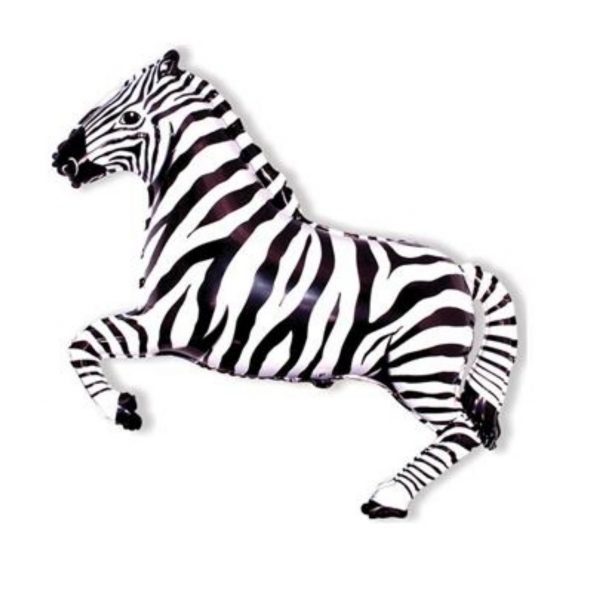 Zebra XXL